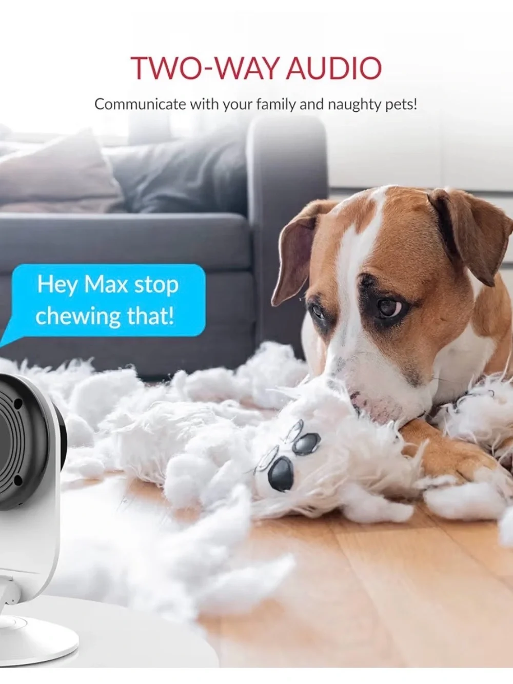 YI Pro Indoor Security Camera Pair - White